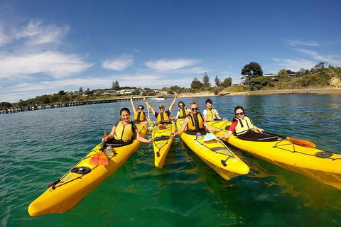 Mornington Peninsula Kayak Coastline Tour Of Dolphin Sanctuary - Holiday Jervis Bay 2