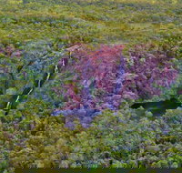 Litchfield Park  Daly River - Scenic Flight From Darwin - Holiday Jervis Bay