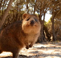Pinnacles  Rottnest Island Scenic Air  Ground Tour - Holiday Jervis Bay