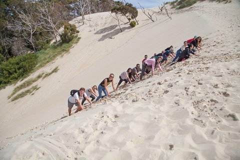 6-Day Tasmanian Explorer Adventure Tour From Hobart - Holiday Jervis Bay 2