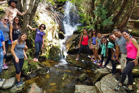 7-Day Super Value Tour Of Tasmania: Explore Tasmania's West And East Coasts - Holiday Jervis Bay 2