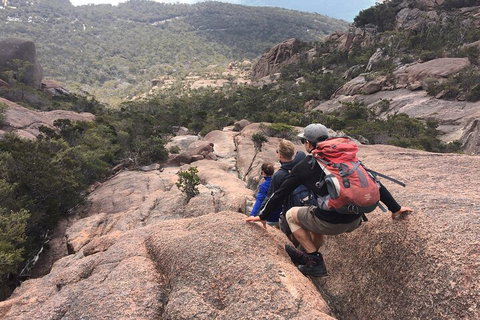 2-Day Tas East Coast Escape Tour Including Bay Of Fires, Wineglass Bay & Devils - Holiday Jervis Bay 2