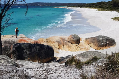 2-Day Tas East Coast Escape Tour Including Bay Of Fires, Wineglass Bay & Devils - Holiday Jervis Bay 4