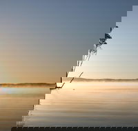 Serenity Cruise to Australia's Everglades