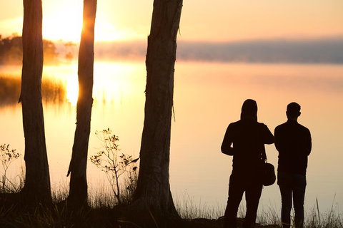 Serenity Cruise To Australia's Everglades - Holiday Jervis Bay 5
