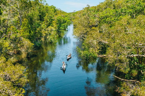 Cruise 'n' Canoe To Australia's Everglades - Holiday Jervis Bay 3