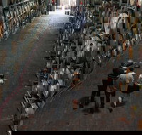 Wirra Wirra Vineyard McLaren Vale Winery Tour and Shiraz Masterclass - Holiday Jervis Bay