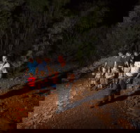 Alice Springs Desert Park Nocturnal Tour - Holiday Jervis Bay