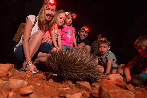 Alice Springs Desert Park Nocturnal Tour - Holiday Jervis Bay 5