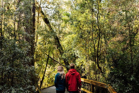Gordon River Cruise Departing From Strahan - Holiday Jervis Bay 2