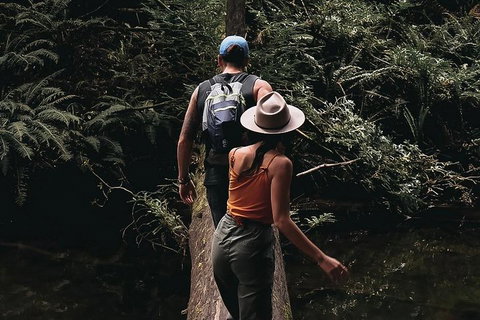 Small Group - 12 Apostles, Otways & Great Ocean Road Day Tour From Melbourne - Holiday Jervis Bay 5