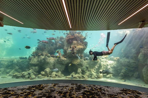 Whitehaven Beach And Daydream Island Cruise - Holiday Jervis Bay 4