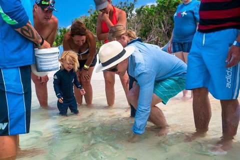 Whitehaven Beach And Hamilton Island Cruise - Holiday Jervis Bay 1