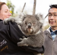 Bonorong Wildlife Park and Richmond Afternoon Tour from Hobart - Holiday Jervis Bay