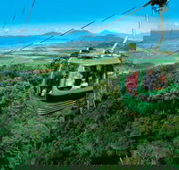 Kuranda Rainforest station Scenic railway and Skyrail tour - Holiday Jervis Bay