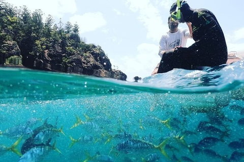 2 Night Small Group Whitsundays Sailing Adventure Aboard Mandrake - Holiday Jervis Bay 5