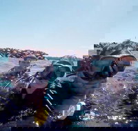 Wave Break Island Scuba Diving on the Gold Coast - Holiday Jervis Bay