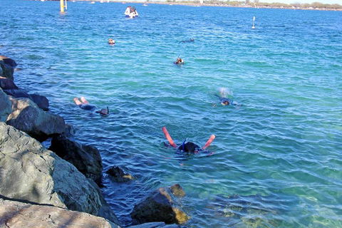 Wave Break Island Scuba Diving On The Gold Coast - Holiday Jervis Bay 1