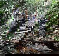 Cairns ATV Adventure Tour and Morning Skyrail - Holiday Jervis Bay