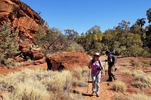 Palm Valley And Hermannsburg 1 Day 4WD Tour - Holiday Jervis Bay 1