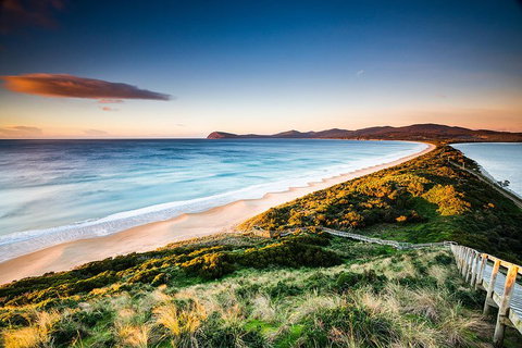 Full-Day Guided Bruny Island Tour From Hobart - Holiday Jervis Bay 2