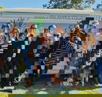Full Day Mount Tamborine Winery Tour from Gold Coast - Holiday Jervis Bay