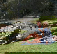 Mt Tamborine - Hinterland Wonders Self Guided - Holiday Jervis Bay