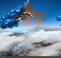 Reef and Rainforest Tandem Sky Dive in Cairns - Holiday Jervis Bay