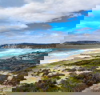 Kangaroo Island Luxury Small Group 'East End Explorer' Full Day Tour - Holiday Jervis Bay