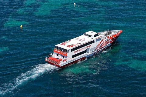 Discover Rottnest With Ferry & Bus Tour From Perth Or Fremantle - Holiday Jervis Bay 3