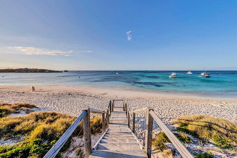 Discover Rottnest With Ferry & Bus Tour From Perth Or Fremantle - Holiday Jervis Bay 4