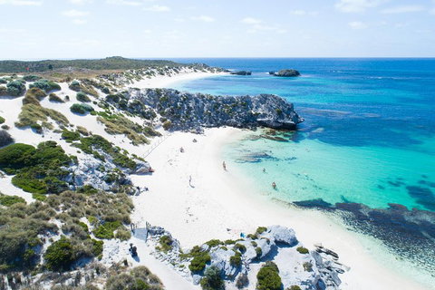 Discover Rottnest With Ferry & Bus Tour From Perth Or Fremantle - Holiday Jervis Bay 5