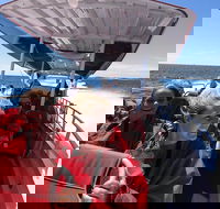 Adventure Rottnest Tour with Ferry  Adventure Cruise from Perth or Fremantle - Holiday Jervis Bay