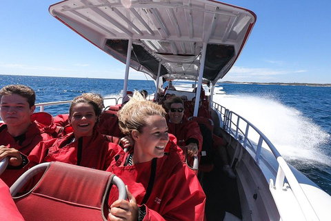 Adventure Rottnest Tour With Ferry & Adventure Cruise From Perth Or Fremantle - Holiday Jervis Bay 0
