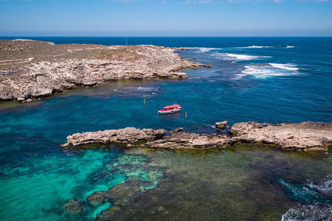 Adventure Rottnest Tour With Ferry & Adventure Cruise From Perth Or Fremantle - Holiday Jervis Bay 3