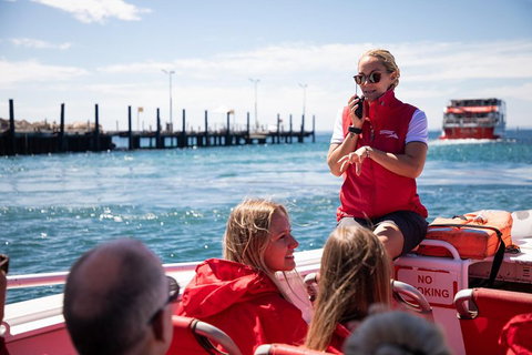 Adventure Rottnest Tour With Ferry & Adventure Cruise From Perth Or Fremantle - Holiday Jervis Bay 4
