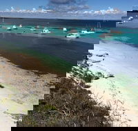 Experience Rottnest with Ferry  Bike Hire from Perth or Fremantle - Holiday Jervis Bay