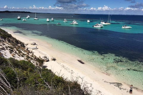 Experience Rottnest With Ferry & Bike Hire From Perth Or Fremantle - Holiday Jervis Bay 0
