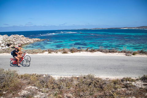 Experience Rottnest With Ferry & Bike Hire From Perth Or Fremantle - Holiday Jervis Bay 2