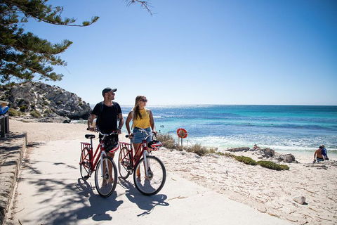 Experience Rottnest With Ferry & Bike Hire From Perth Or Fremantle - Holiday Jervis Bay 4