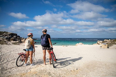 Experience Rottnest With Ferry & Bike Hire From Perth Or Fremantle - Holiday Jervis Bay 5