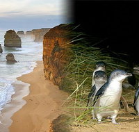 Melbourne Super Saver Great Ocean Road  Phillip Island  Attraction Pass - Holiday Jervis Bay