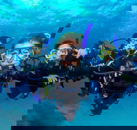 Great Barrier Reef Diving and Snorkeling Cruise from Cairns - Holiday Jervis Bay