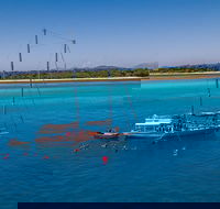 Ocean Free Green Island  Great Barrier Reef Snorkel Cruise Cairns 25 guests - Holiday Jervis Bay