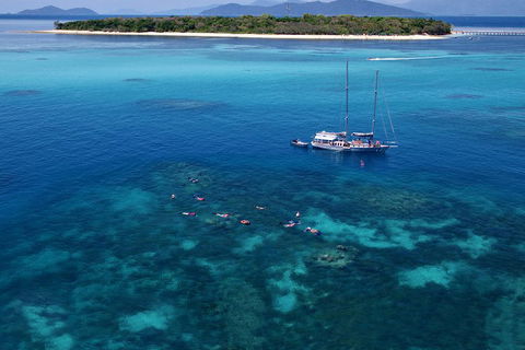 Ocean Free Green Island & Great Barrier Reef Snorkel Cruise, Cairns 25 Guests - Holiday Jervis Bay 2