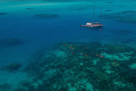 Ocean Free Green Island & Great Barrier Reef Snorkel Cruise, Cairns 25 Guests - Holiday Jervis Bay 5