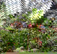 Australian Butterfly Sanctuary - Holiday Jervis Bay