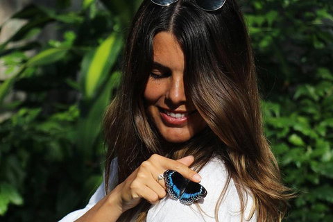 Australian Butterfly Sanctuary - Holiday Jervis Bay 2