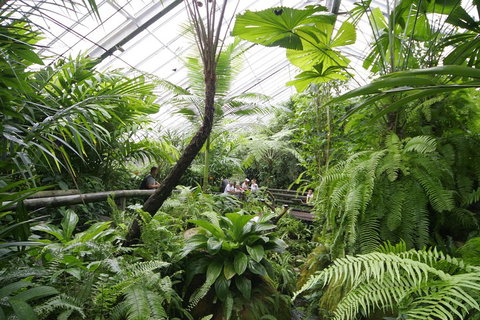 Australian Butterfly Sanctuary - Holiday Jervis Bay 3