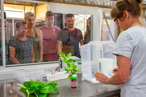 Australian Butterfly Sanctuary - Holiday Jervis Bay 5